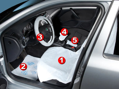 Ceelac Interior Car Cover